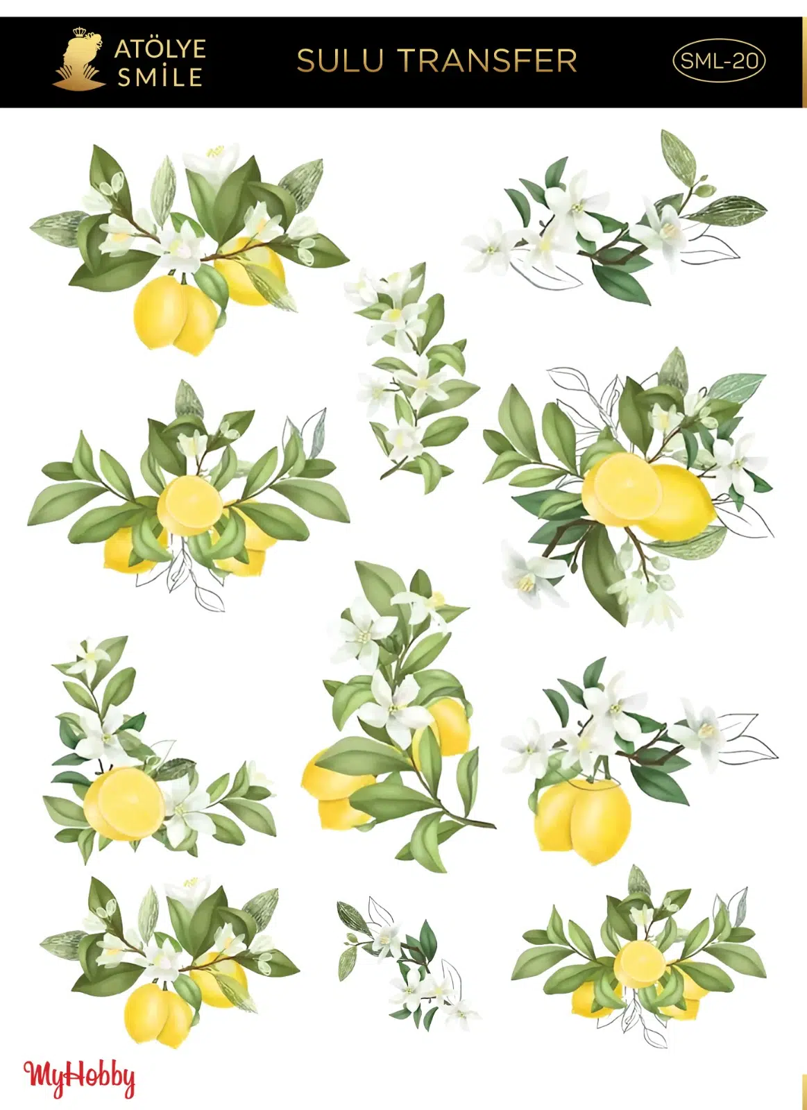ATÖLYE SMİLE SULU TRANSFER SML-20