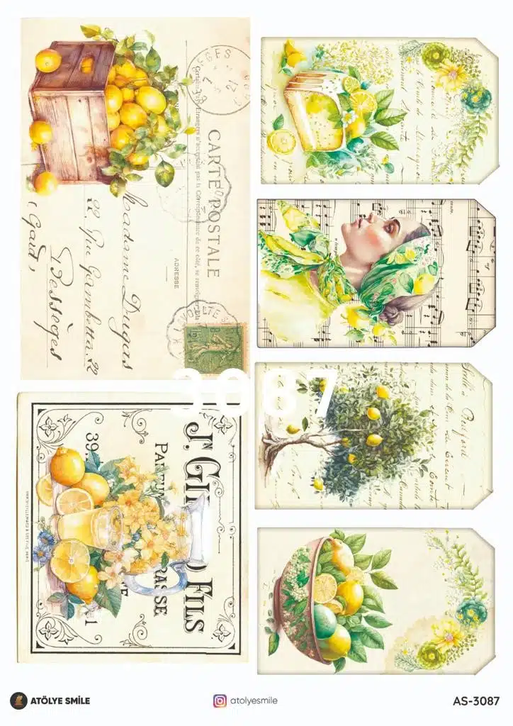 ATÖLYE SMİLE ÖZEL SERİ PİRİNÇ DEKOPAJ AS-3087