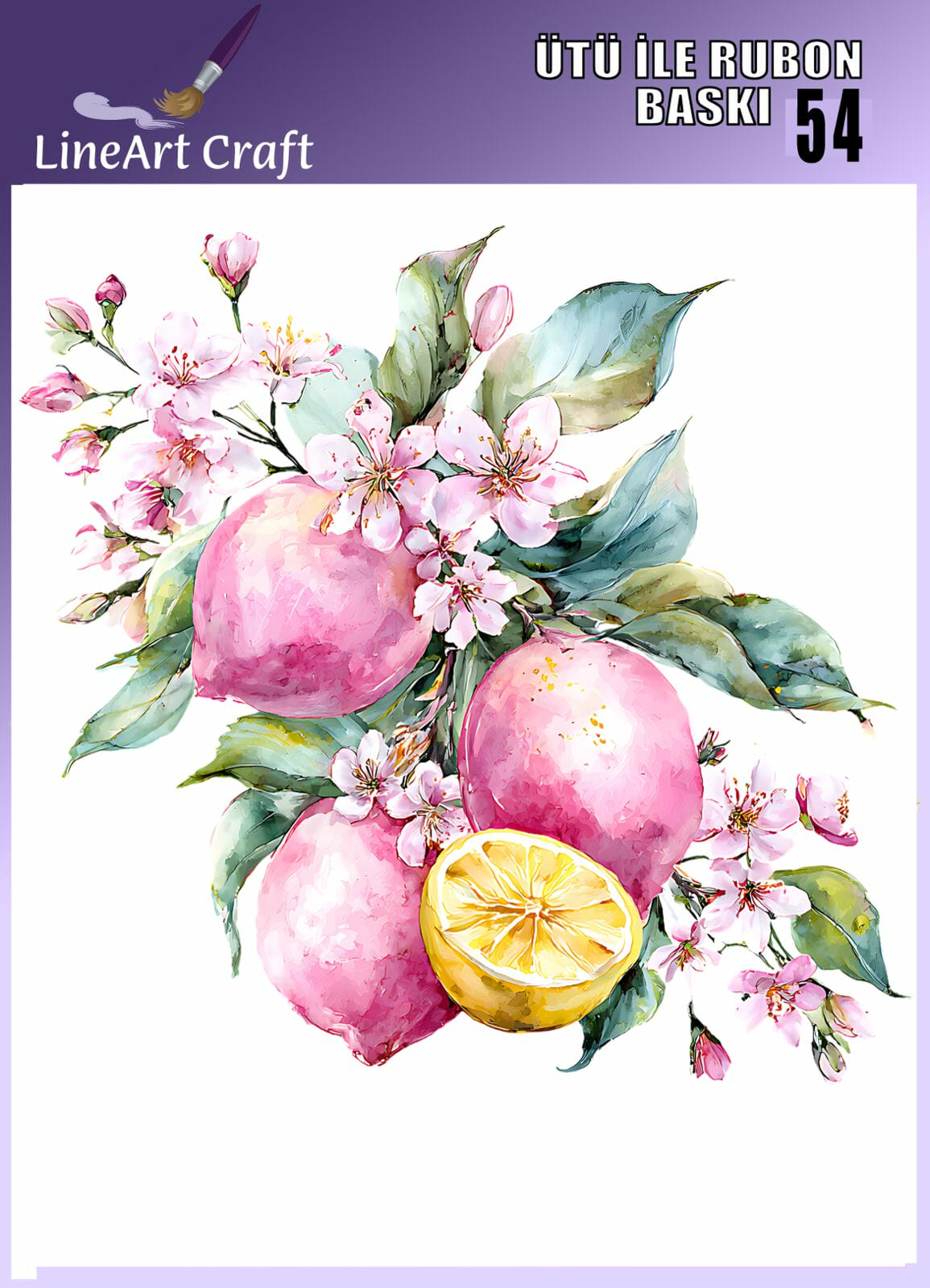 LİNEART ÜTÜ TRANSFER -54