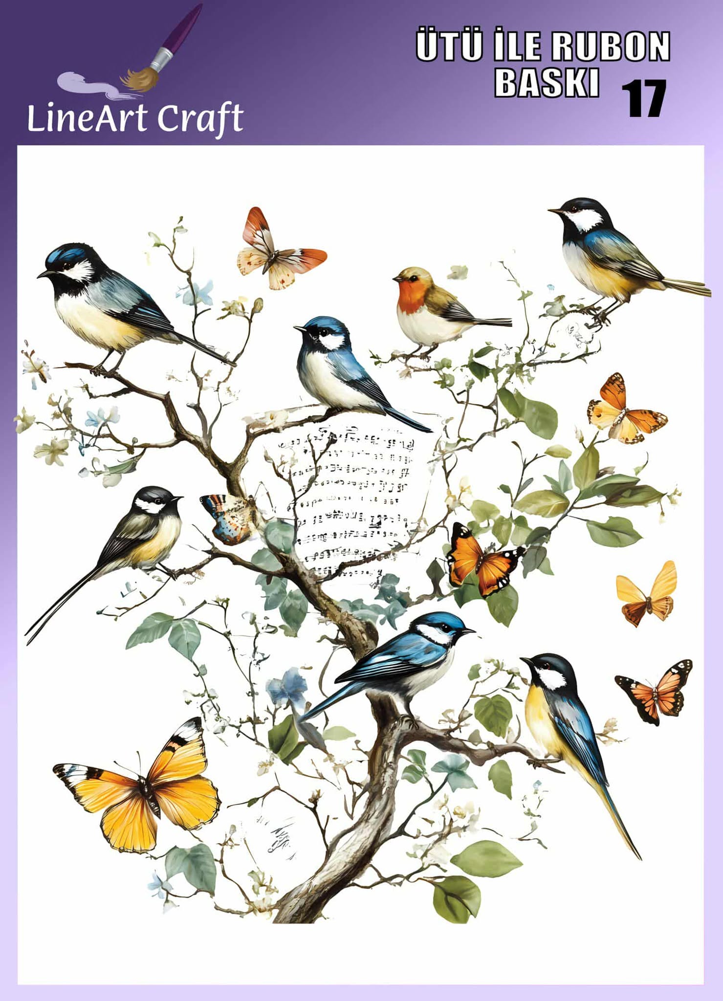 LİNEART ÜTÜ TRANSFER -17