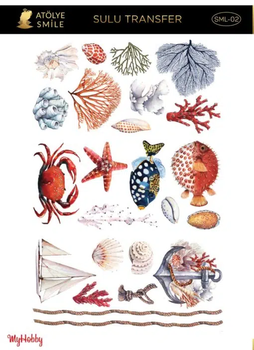 SMİLE SULU TRANSFER SML-02