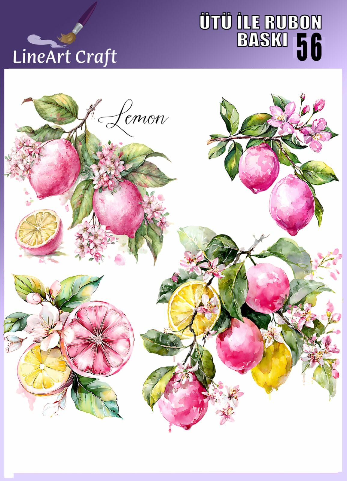 LİNEART ÜTÜ TRANSFER -56