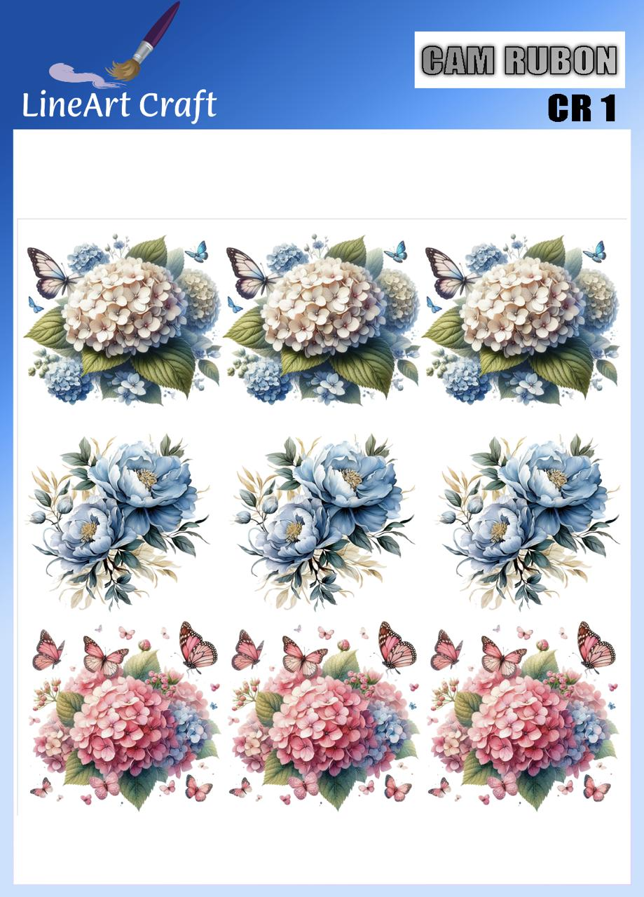 LİNEART CAMA TRANSFER-CR01