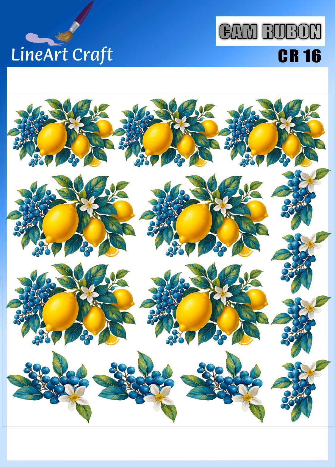 LİNEART CAMA TRANSFER-CR16