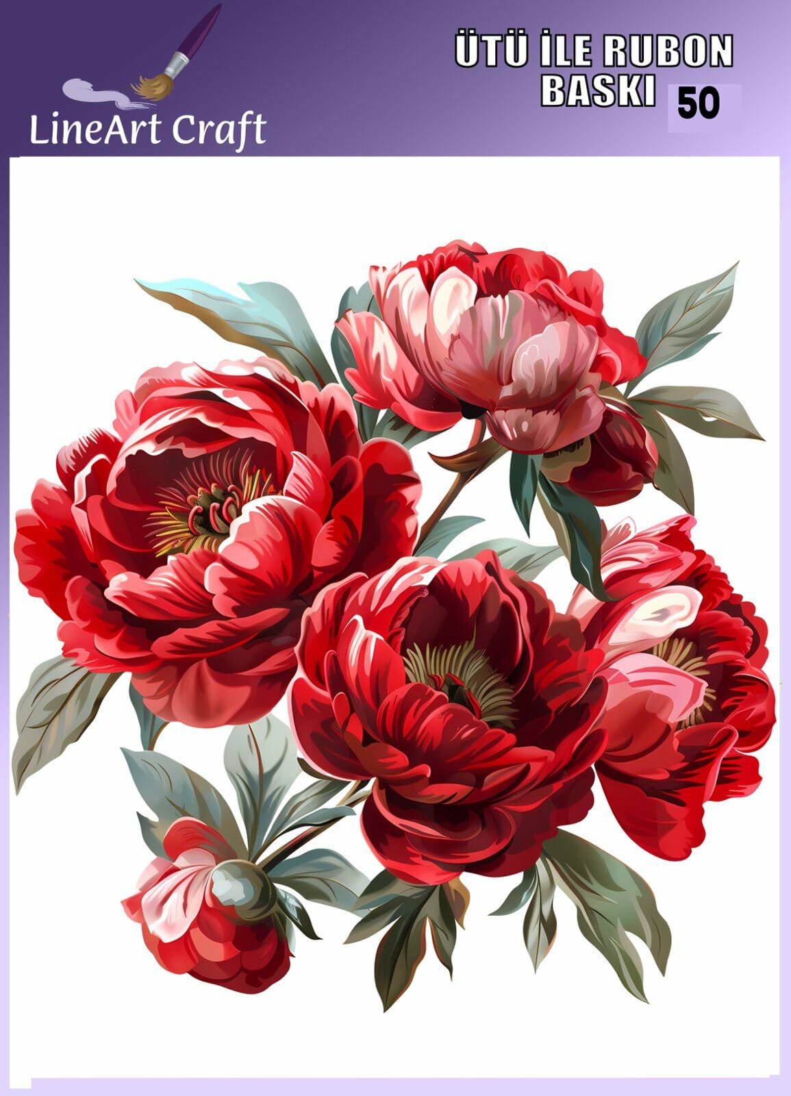 LİNEART ÜTÜ TRANSFER -50