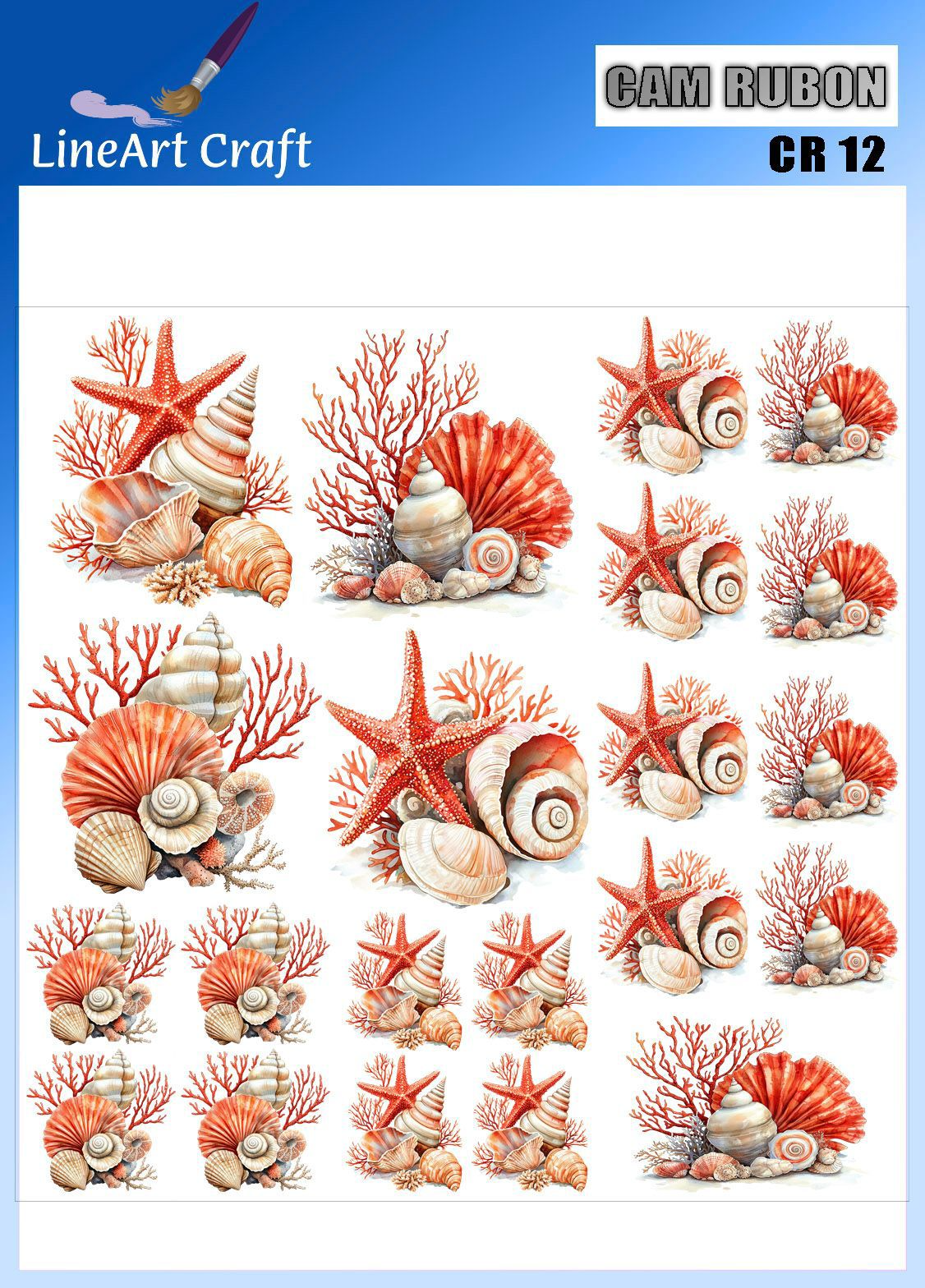 LİNEART CAMA TRANSFER-CR12