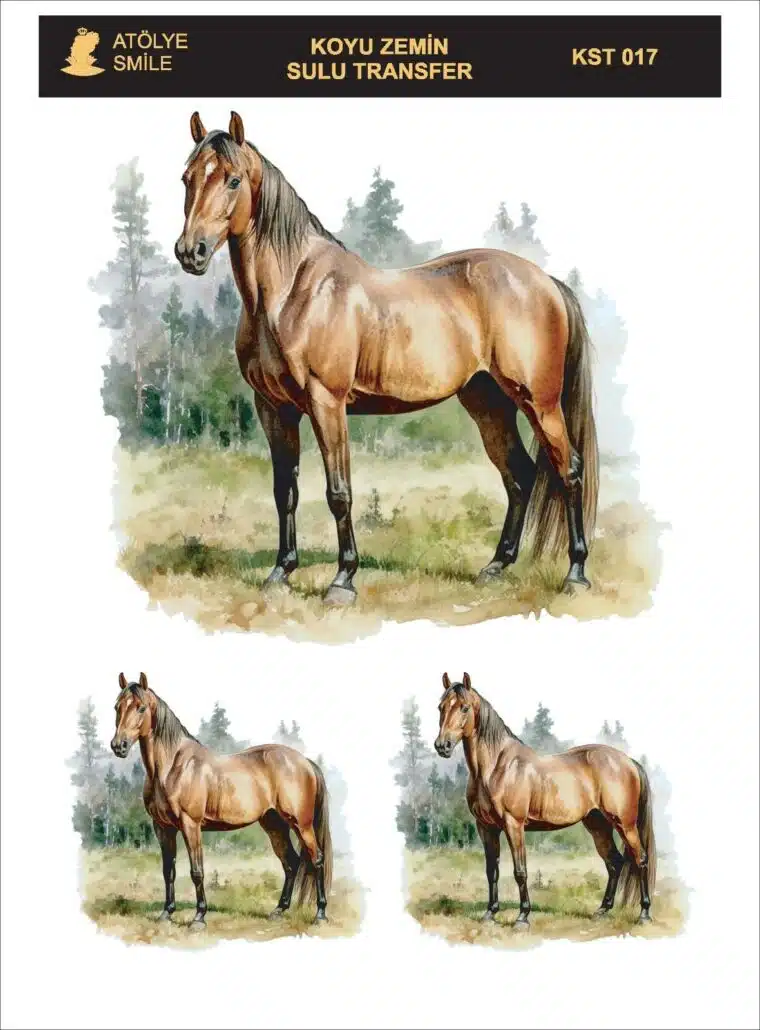 ATÖLYE SMİLE KOYU ZEMİN SULU TRANSFER KST-017