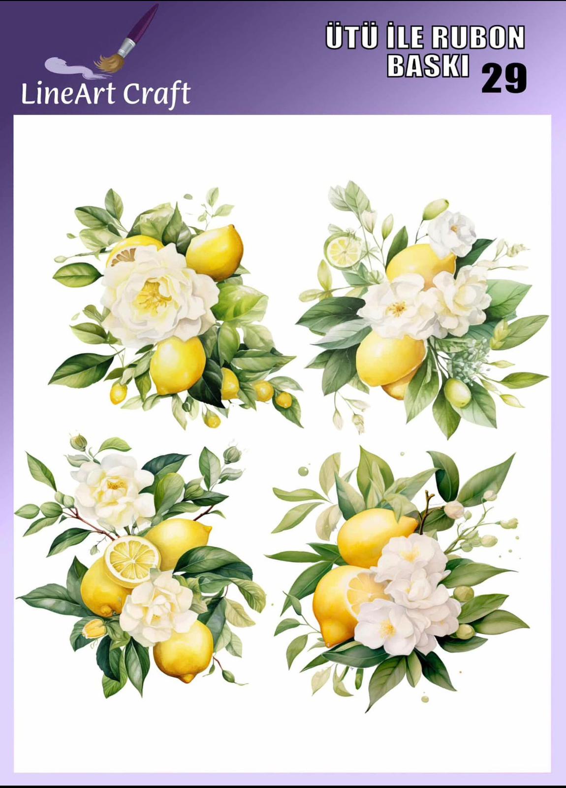 LİNEART ÜTÜ TRANSFER LNT 29