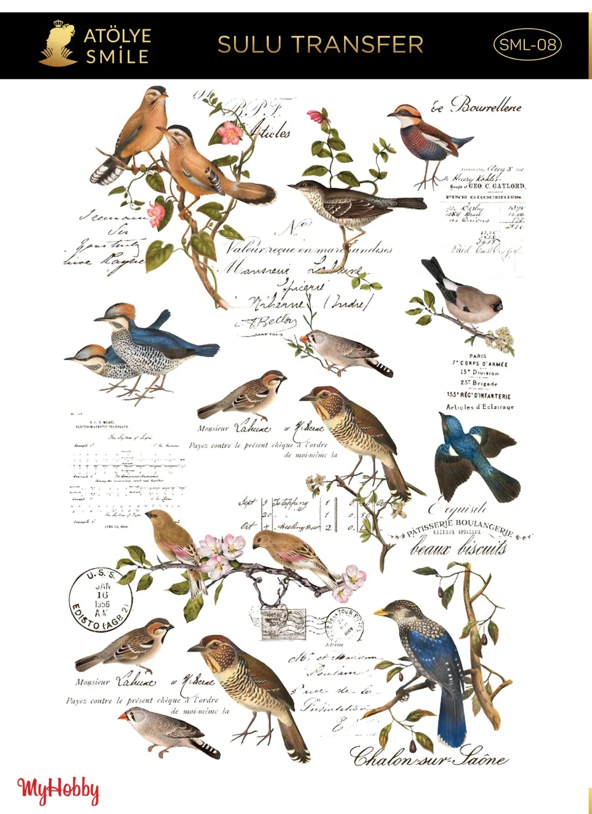 SMİLE SULU TRANSFER SML-08