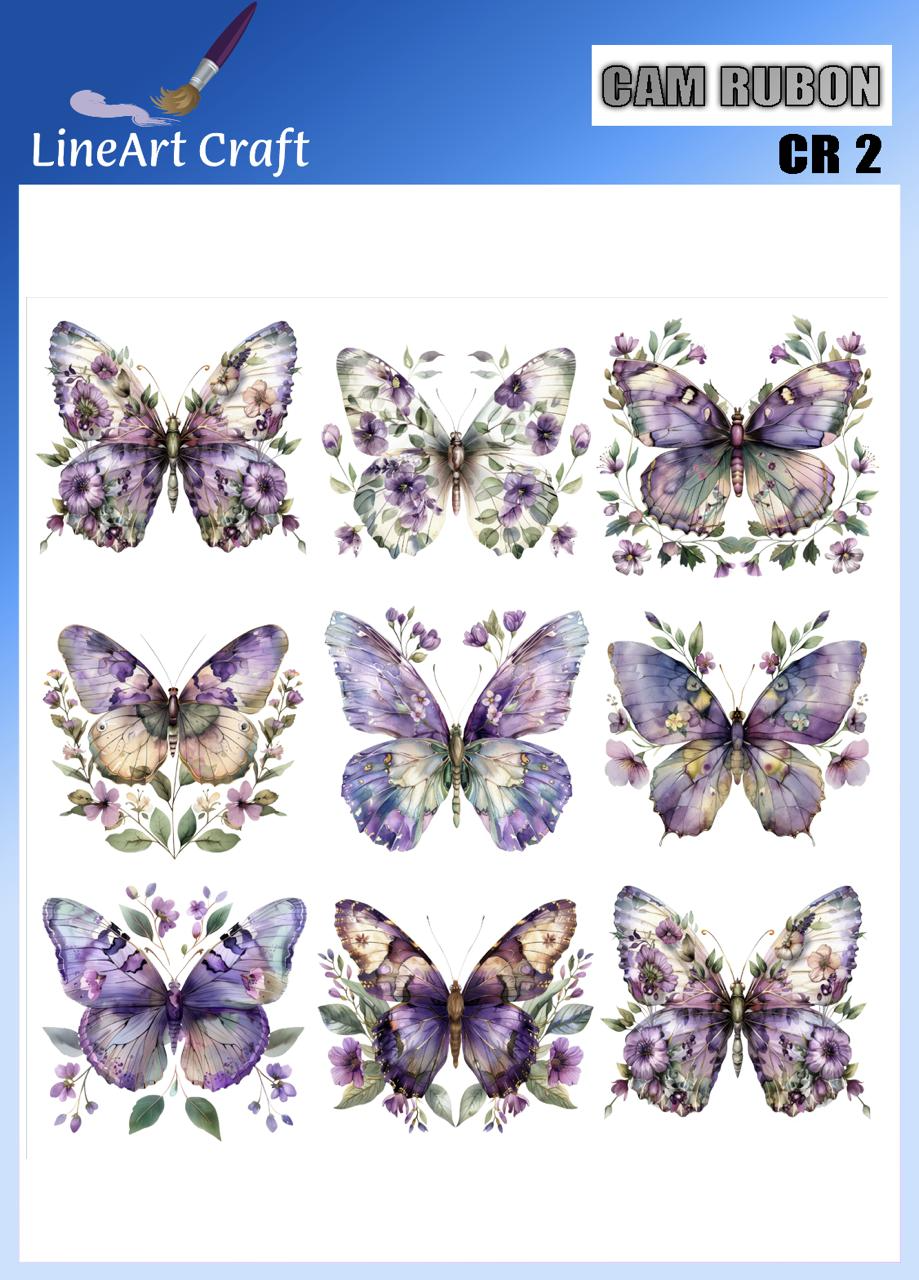 LİNEART CAMA TRANSFER-CR02